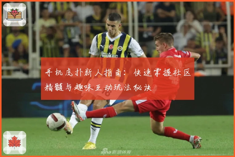 手机虎扑新人指南：快速掌握社区精髓与趣味互动玩法秘诀
