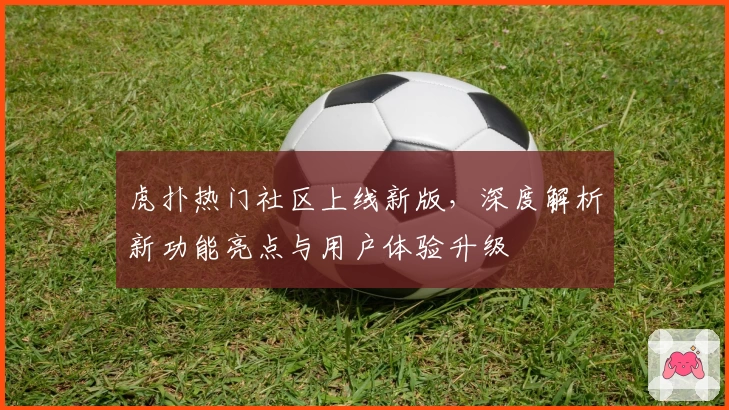 虎扑热门社区上线新版，深度解析新功能亮点与用户体验升级