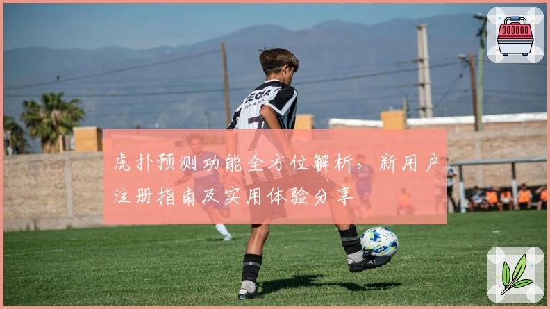 虎扑预测功能全方位解析，新用户注册指南及实用体验分享