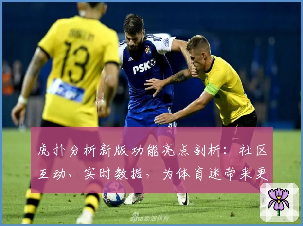虎扑分析新版功能亮点剖析：社区互动、实时数据，为体育迷带来更专业体验